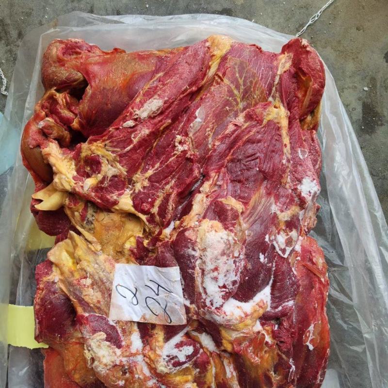 蒙古国超码马肉，精修无油，纯干货，大块无碎肉