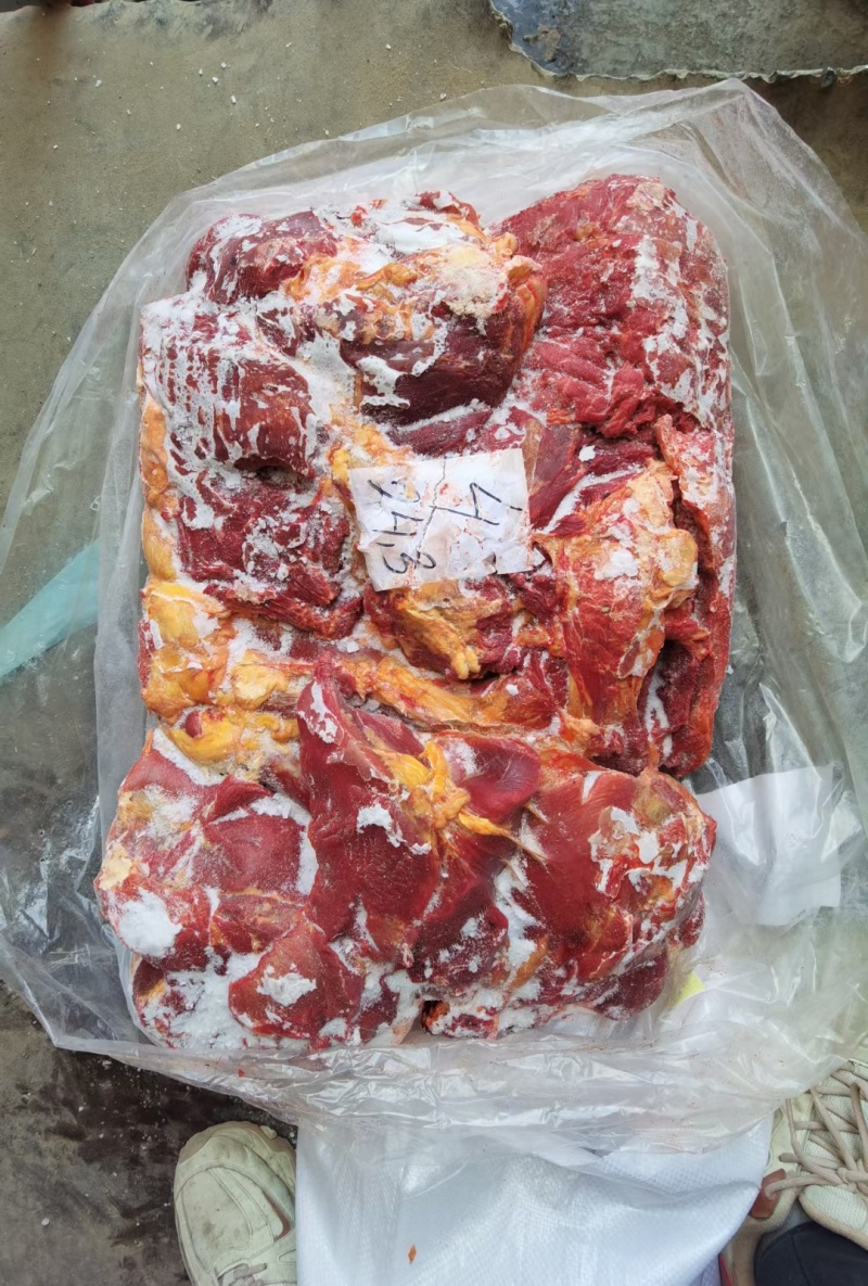 蒙古国超码马肉，精修无油，纯干货，大块无碎肉