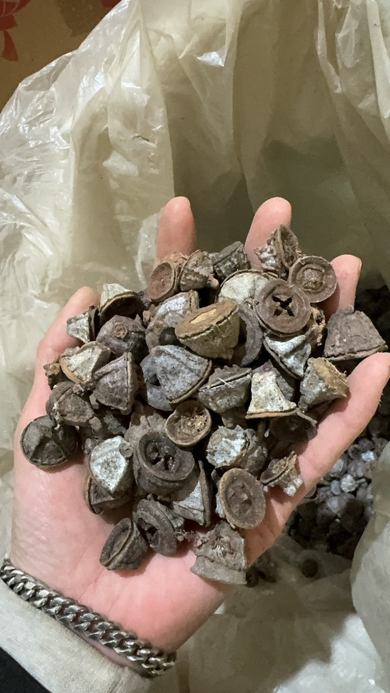 一口钟一口盅实物拍摄别名扣子七白树球中药材一口钟