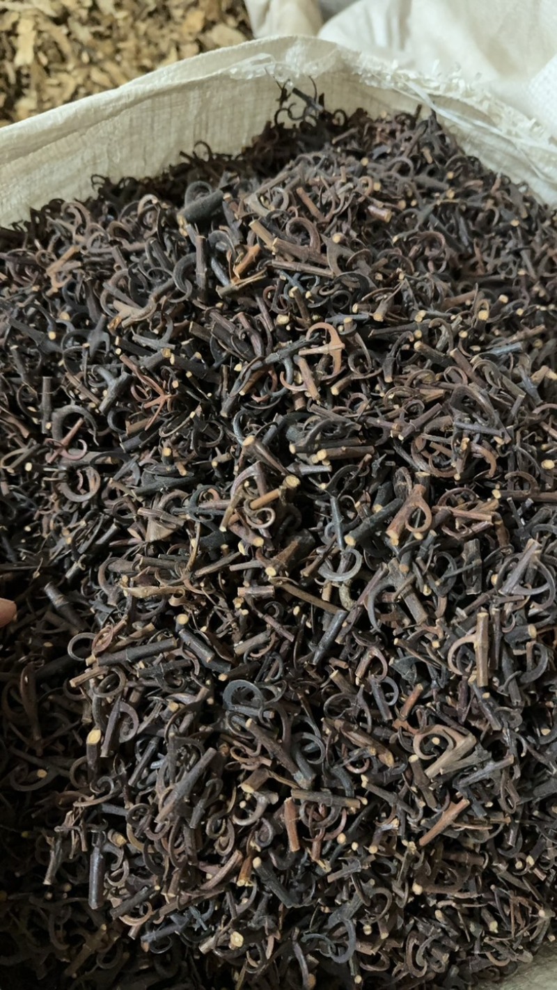钩藤保庆药业批发中药钩藤实物拍摄钩滕发
