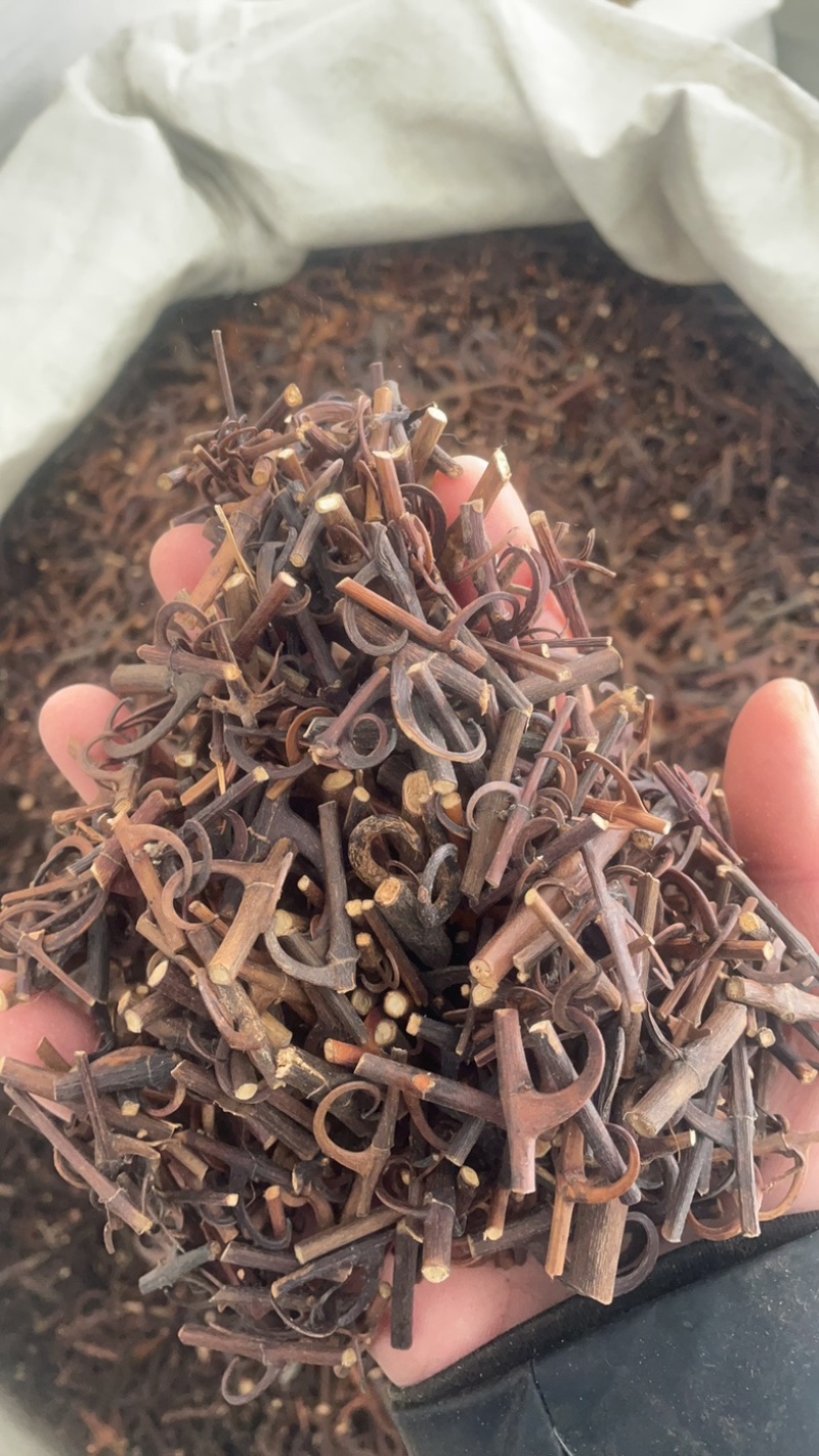 钩藤保庆药业批发中药钩藤实物拍摄钩滕发