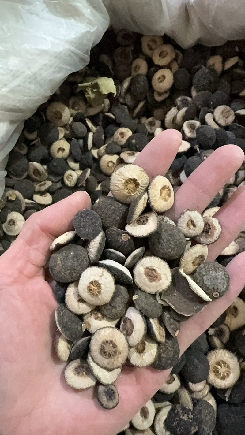 枳实中药材批发枳实小枳实枳实