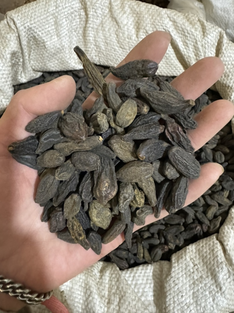 西青果青果保庆药业批发西青果实物拍摄青果