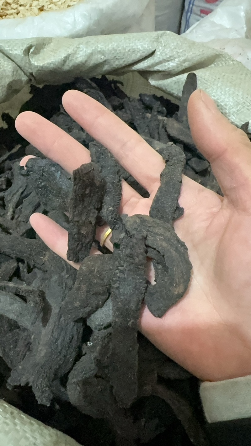 肉纵容肉苁蓉肉大芸软大芸硬大芸肉苁蓉片软肉苁蓉