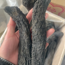 肉苁蓉阿拉善肉苁蓉肉厚软大芸油性大肉纵容