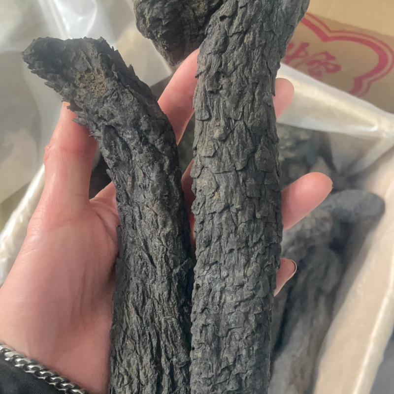 肉苁蓉阿拉善肉苁蓉肉厚软大芸油性大肉纵容