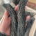 肉苁蓉阿拉善肉苁蓉肉厚软大芸油性大肉纵容