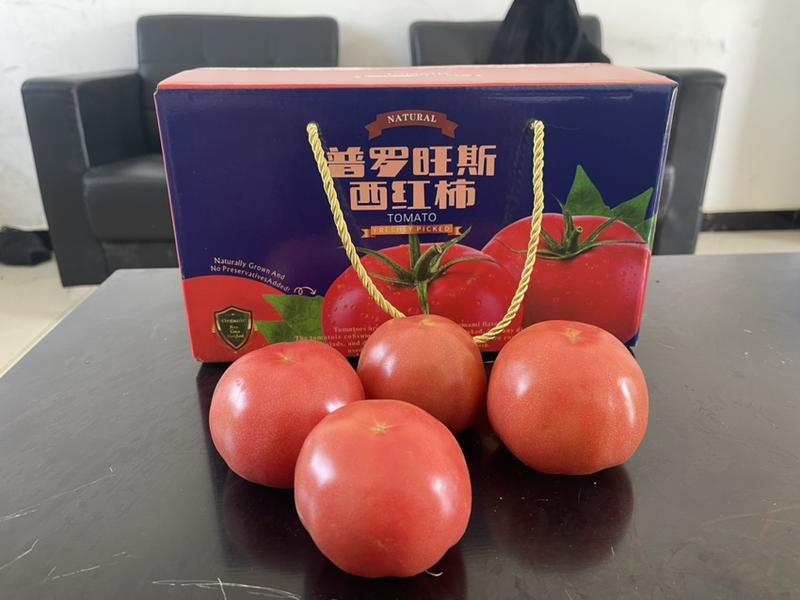 西红柿普罗旺斯沙瓤口感番茄水果西红柿适合生吃酸甜多汁