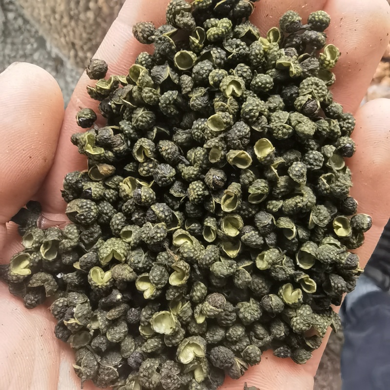 花椒青麻椒新货选1000g批关书药业各种调料