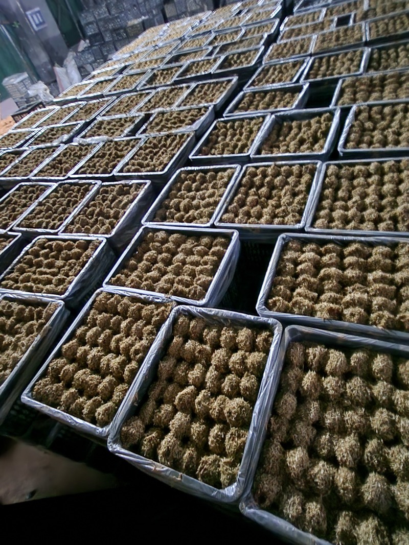 江西厂家长期批发松花蛋松花皮蛋，鸭皮蛋，鸭变蛋