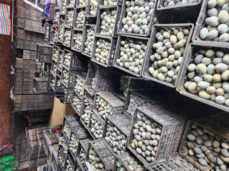 江西厂家长期批发松花蛋松花皮蛋，鸭皮蛋，鸭变蛋