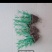 新鲜可食用香草迷迭香小苗驱蚊驱虫净化空气耐旱耐寒