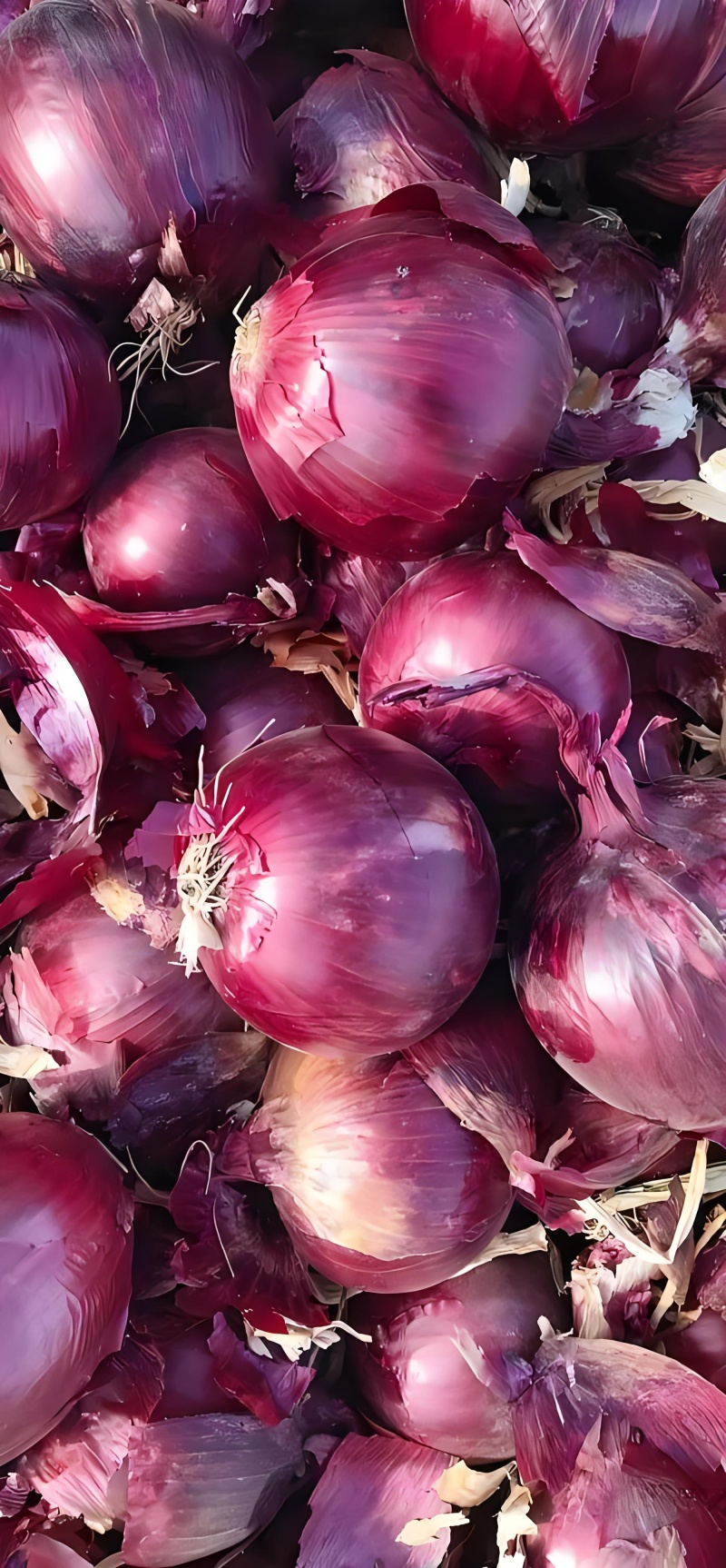 紫洋葱洋葱红紫葱精品紫葱