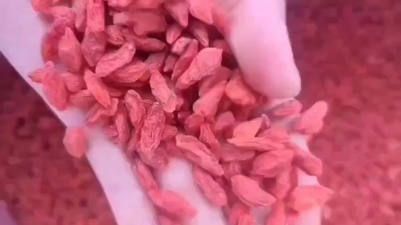 川芎精选川芎片川芎统等各种大小规格欢迎选购