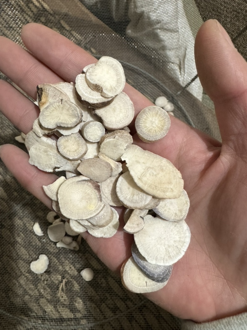 白芍白芍片白芍选装白芍统货白芍无硫白芍