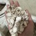 白芍白芍片白芍选装白芍统货白芍无硫白芍