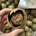 罗汉果保庆药业批发罗汉果各种规格罗汉果发货如图