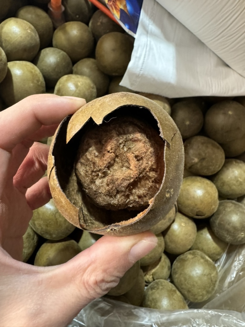 罗汉果保庆药业批发罗汉果各种规格罗汉果发货如图