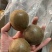 罗汉果保庆药业批发罗汉果各种规格罗汉果发货如图