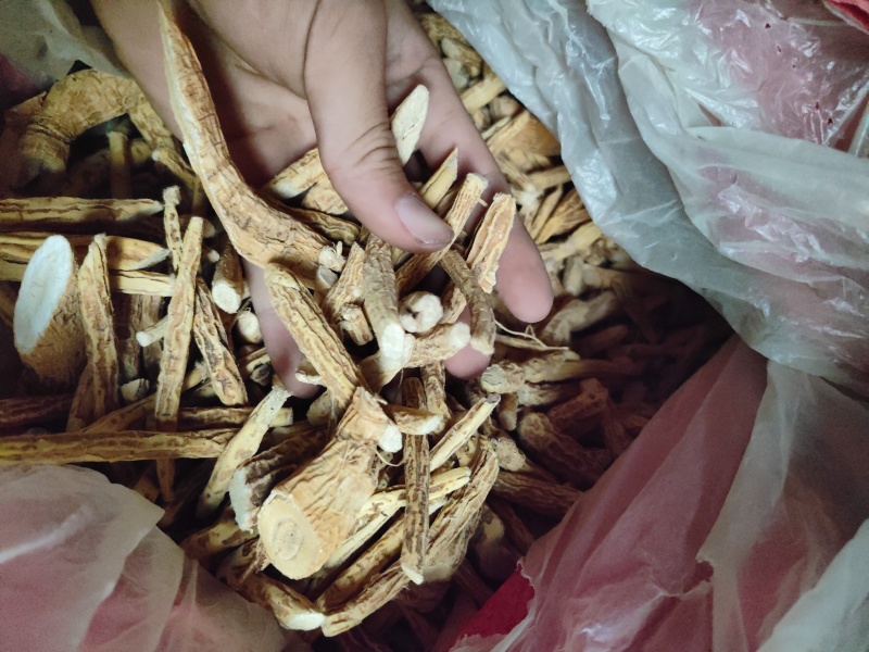 粉牛大力