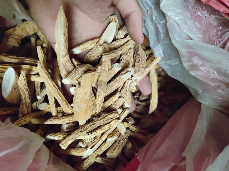 粉牛大力