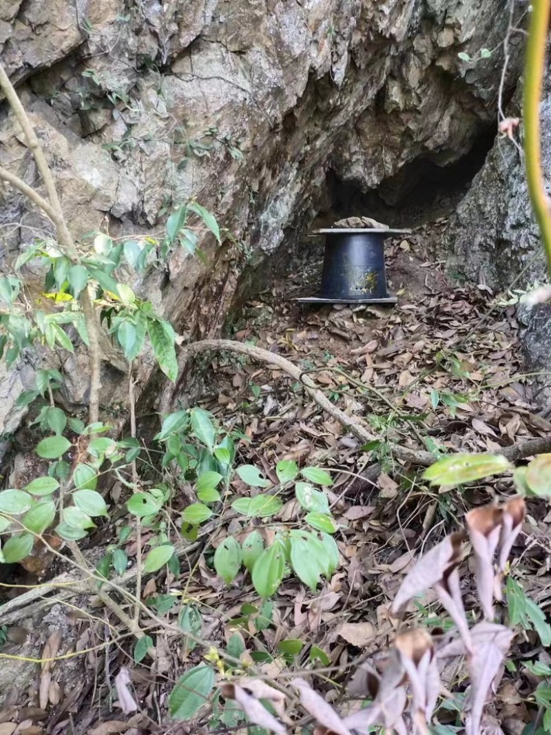 土蜂蜜