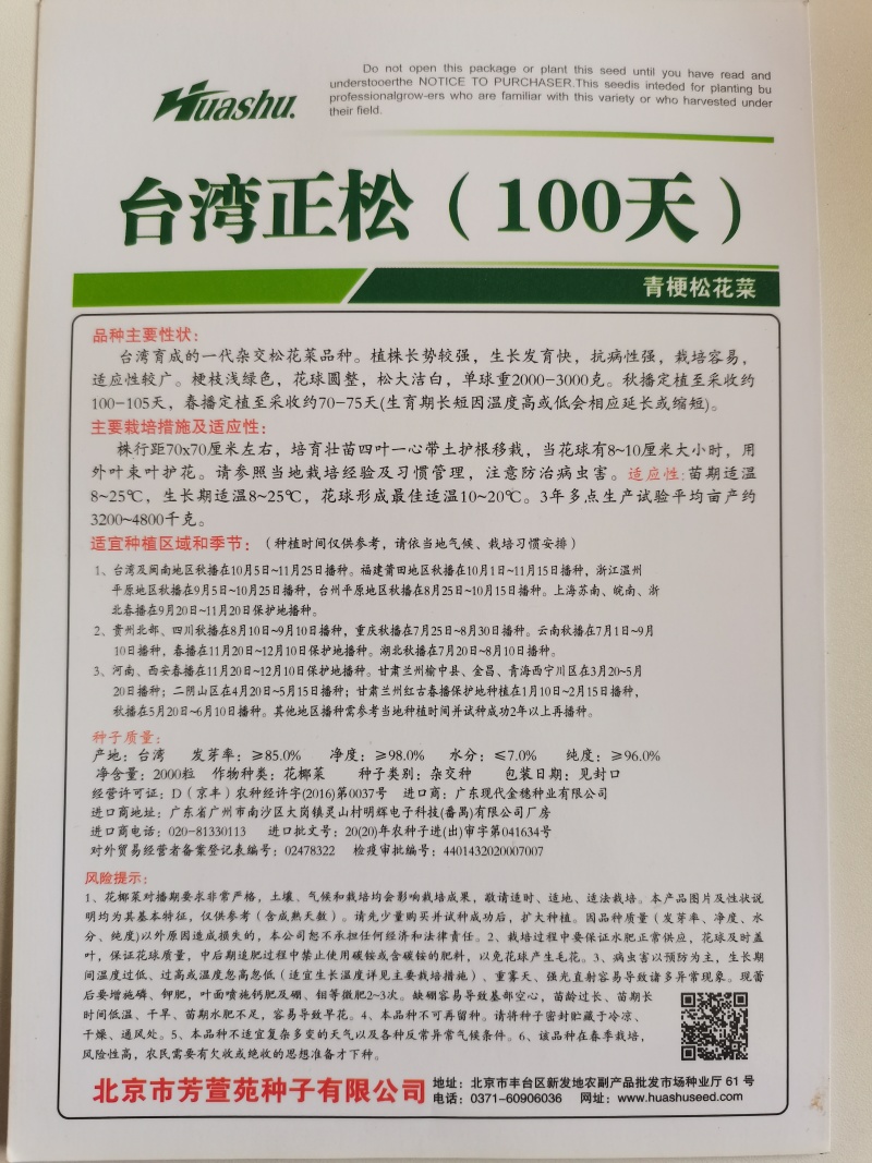 正松100越冬白面青梗松花菜种子，耐寒，花球松大洁白