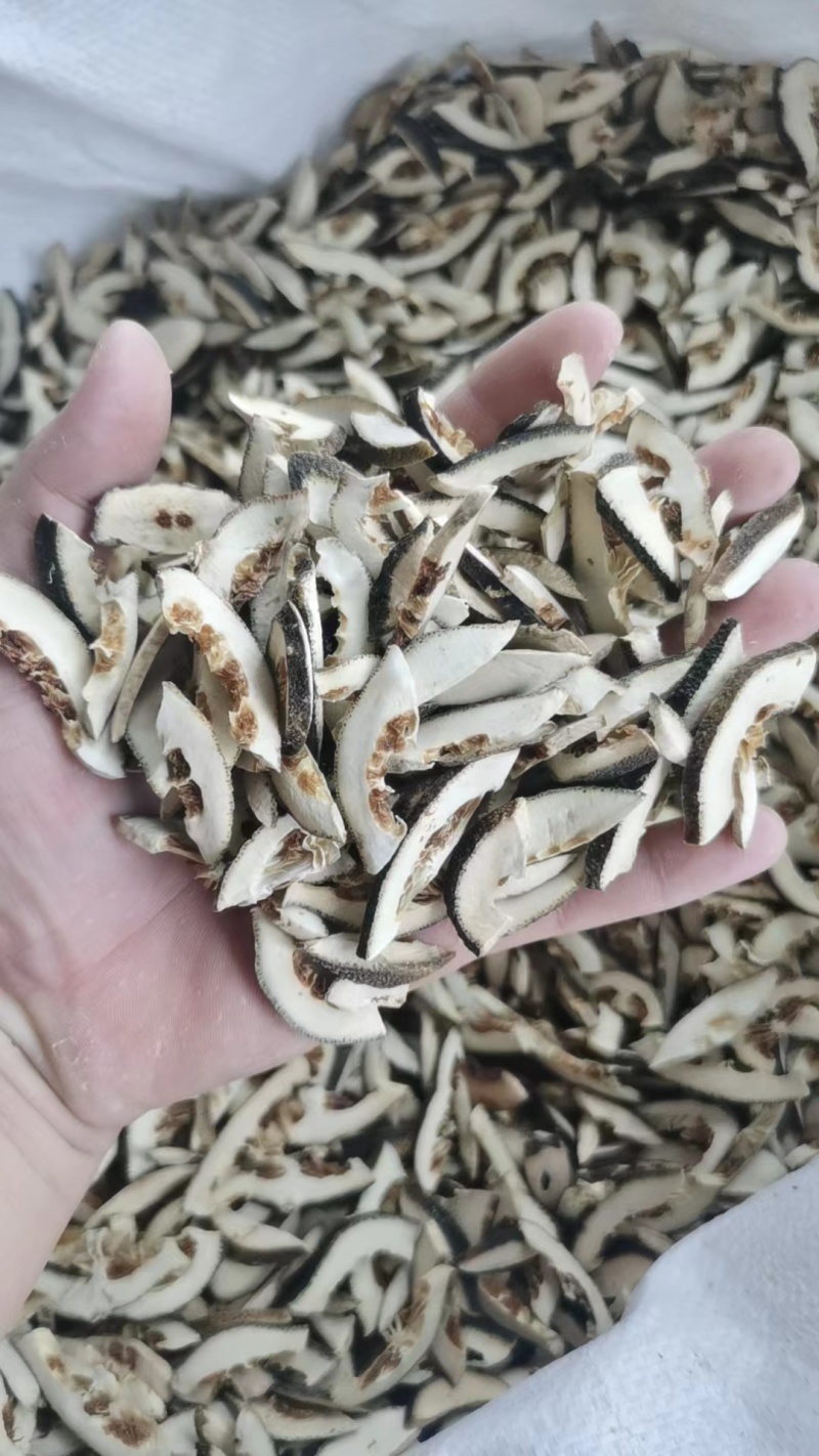 江西枳壳精品枳壳产地直发质量保证干净无硫质量好