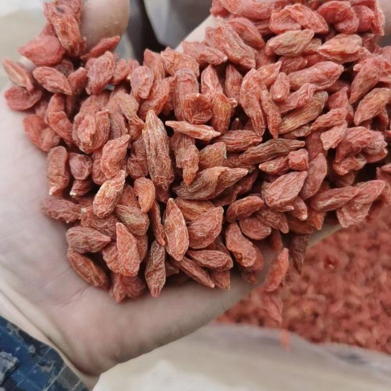 精品枸杞红枸杞颗粒饱满一手货源品质保障诚信经营