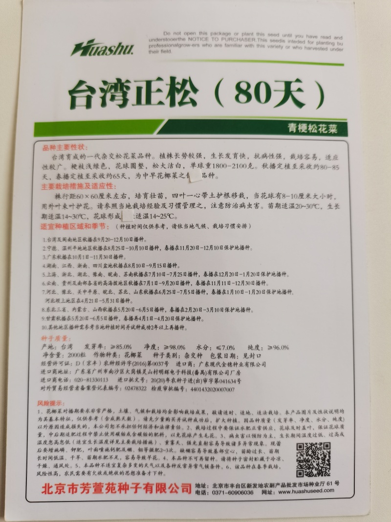 台湾正松65天松花菜种子，矮脚花球松大洁白，耐热耐雨水