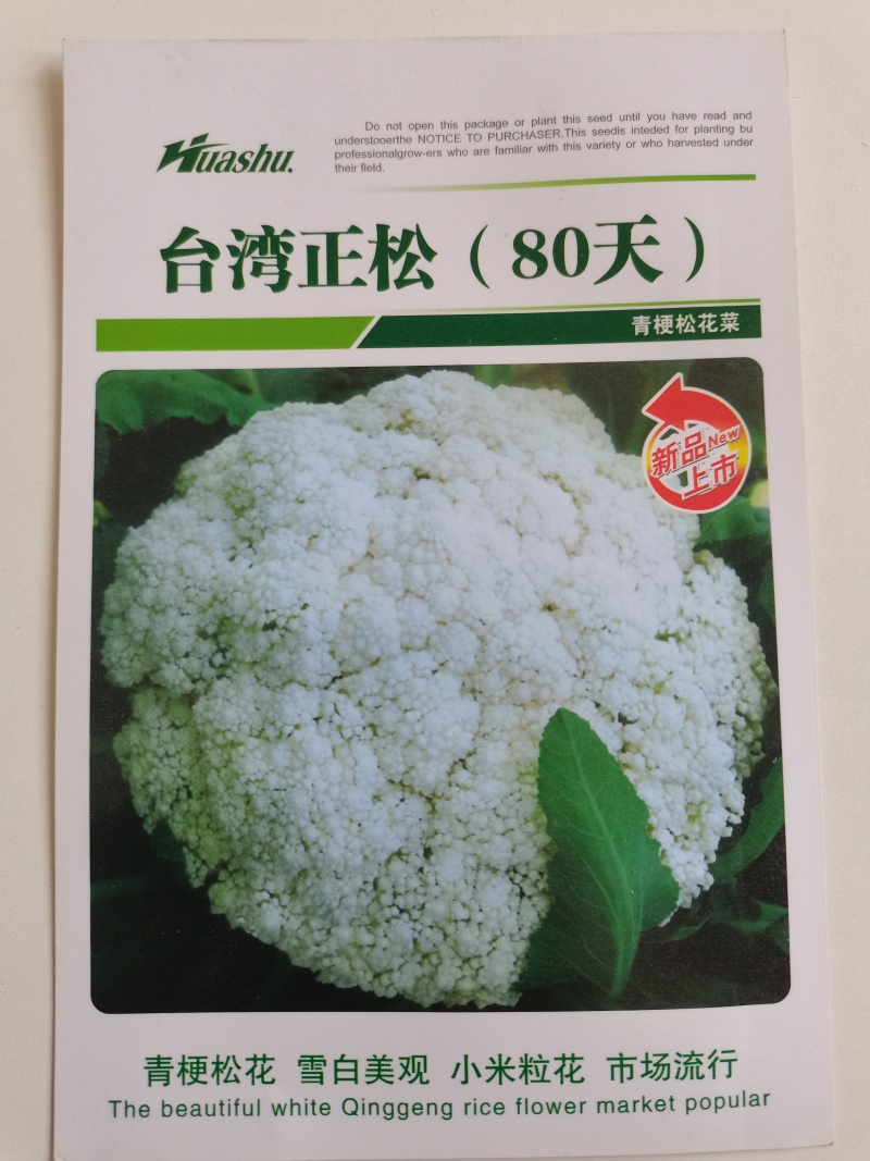 台湾正松65天松花菜种子，矮脚花球松大洁白，耐热耐雨水