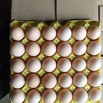 湖北精品鸡蛋