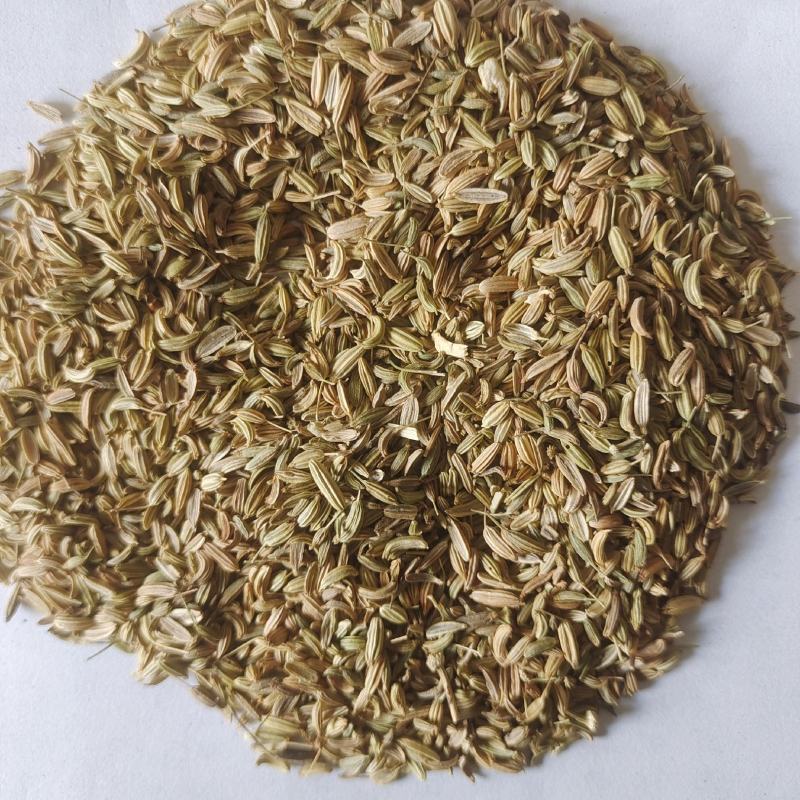 小茴香茴香新货上市产地广西地道药材紫轩堂药业