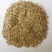小茴香茴香新货上市产地广西地道药材紫轩堂药业