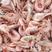 【优质红虾】渤海湾特产红虾山东沾化厂家直供质量保证