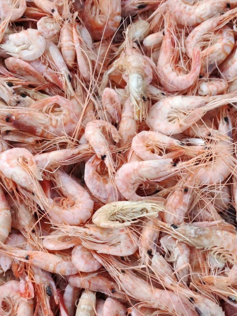 渤海湾特产红虾爪虾山东产地直供保质保量