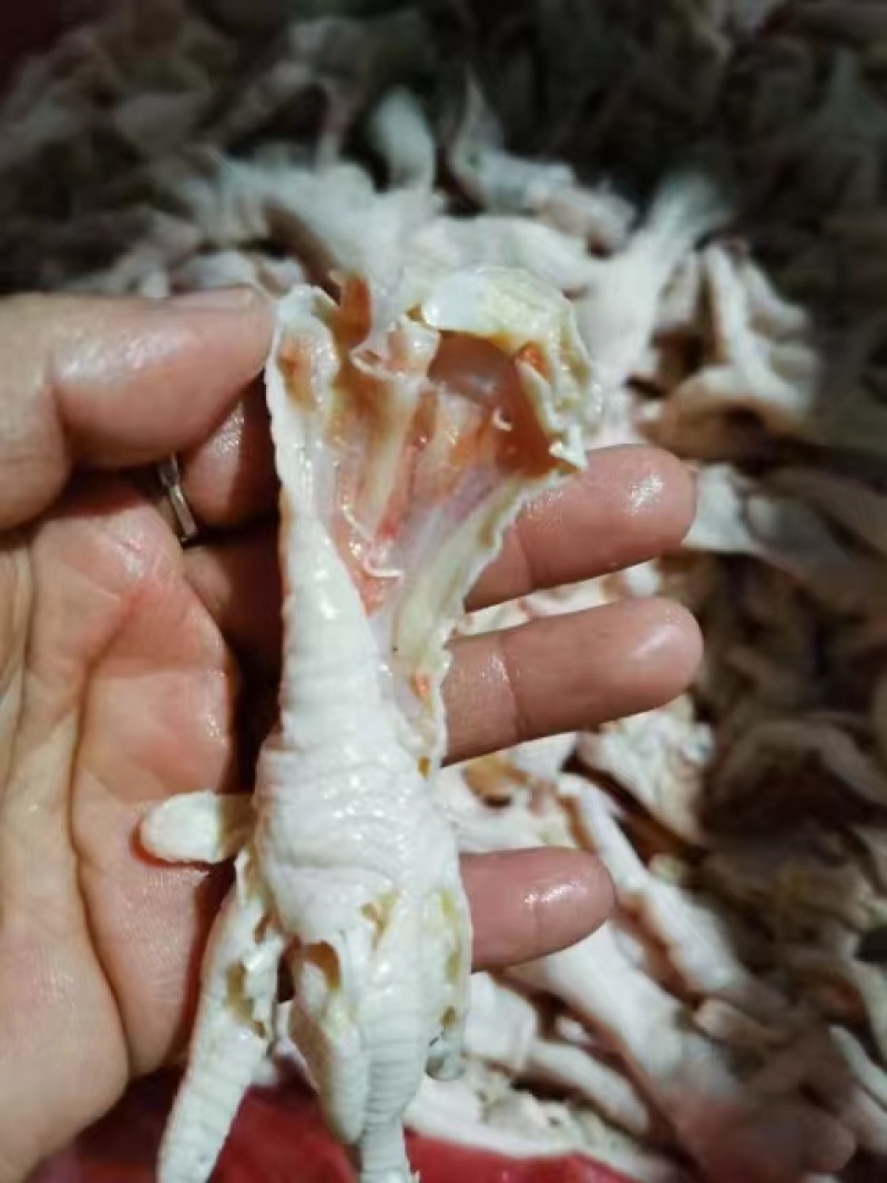 无骨鸭掌副产品各种规格源头厂家直销价格便宜