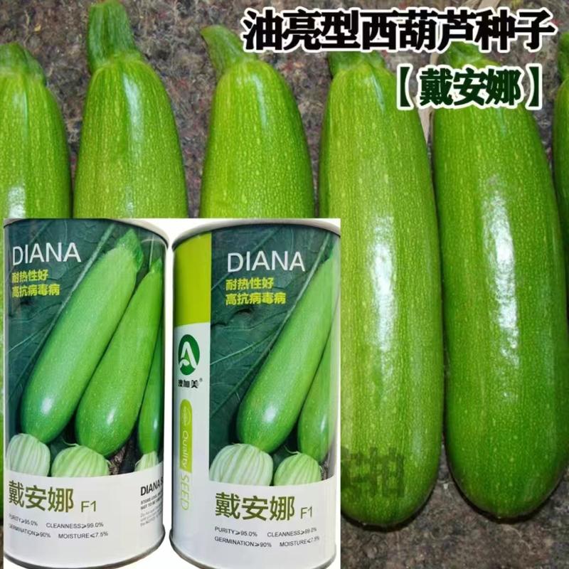 戴安娜西葫芦种子油亮型西葫芦种子抗病丰产耐热嫩绿色西葫芦