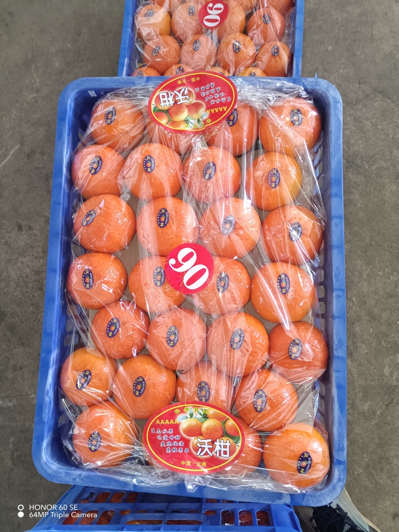 云南沃柑代收代发，全国接单