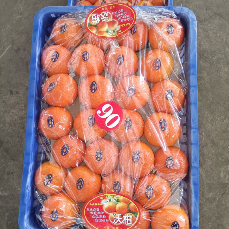云南沃柑代收代发，全国接单