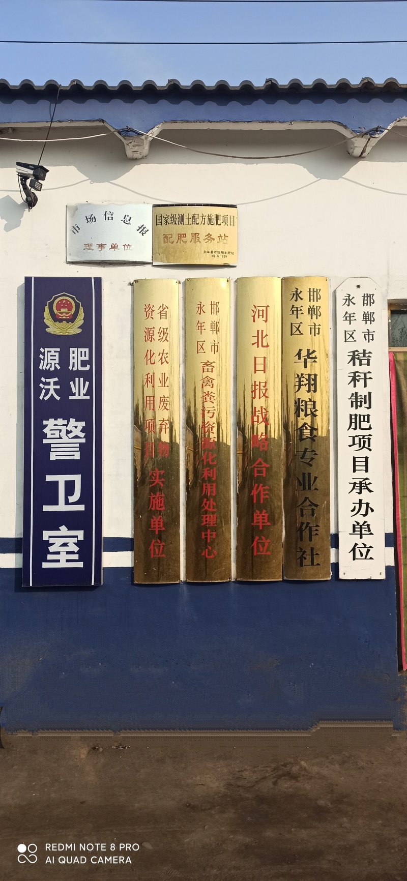 (根腐专用)微生物菌剂