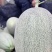 精选晓蜜25哈密瓜产地直供大量上市代办代收全国发货