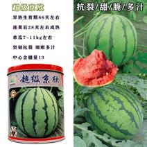 超级京欣西瓜种子籽早熟红瓤甜脆多汁西瓜种子大果高产抗病西