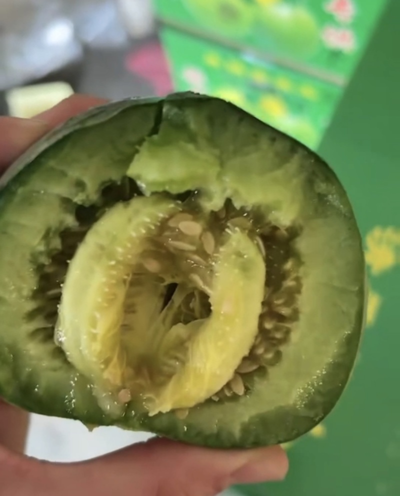 绿宝甜瓜产地一手货源量大从优全国发货