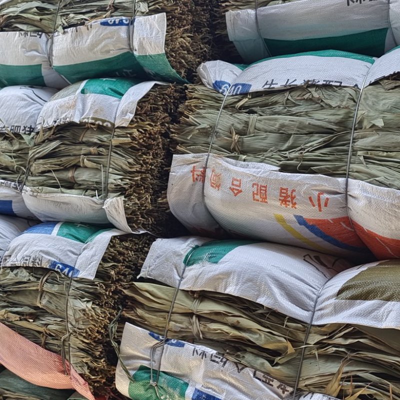 2024新鲜干粽子叶（百叶）统货没挑选过的原装货