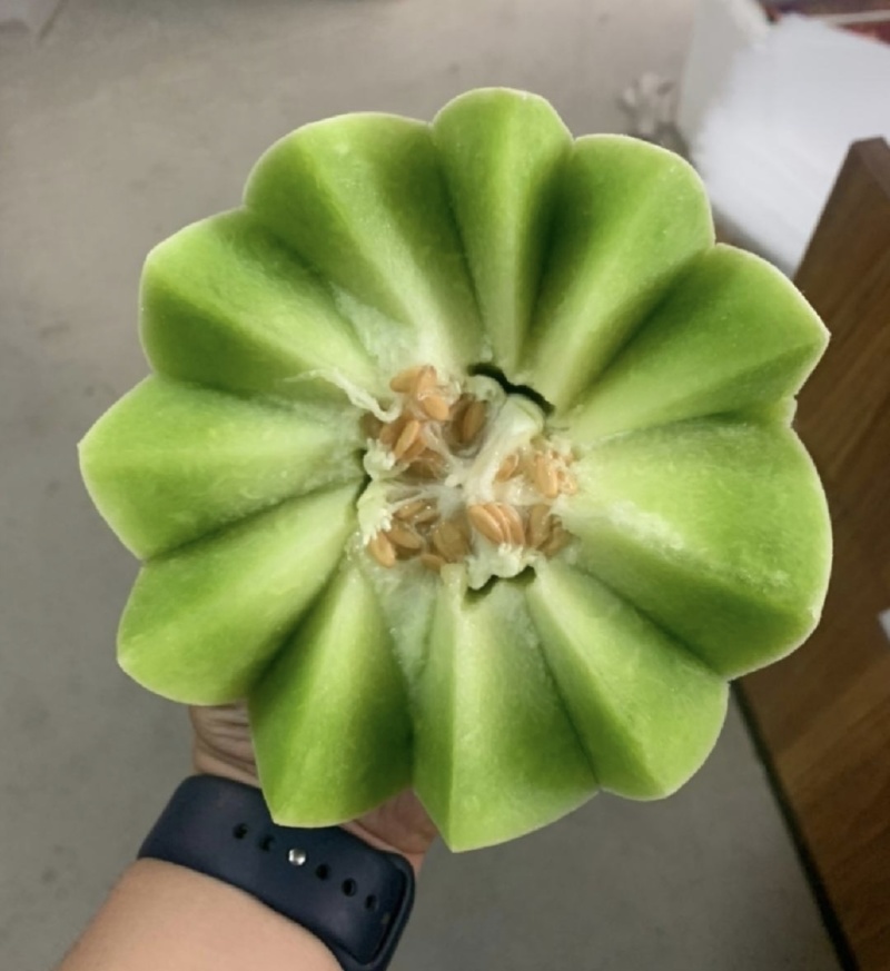 山东省潍坊市寿光玉姑甜瓜等大量市欢迎大家前来采购