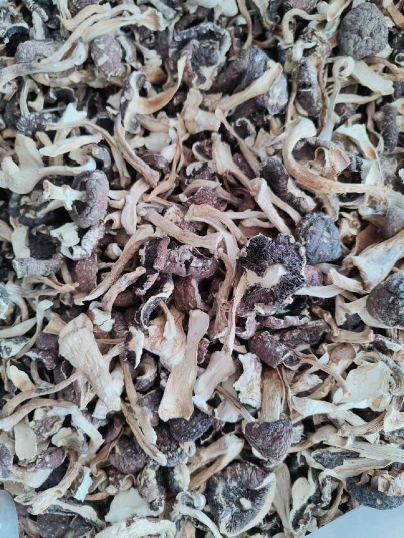 东北特产赤松茸干货