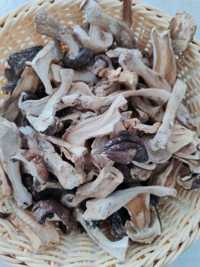 东北特产赤松茸干货
