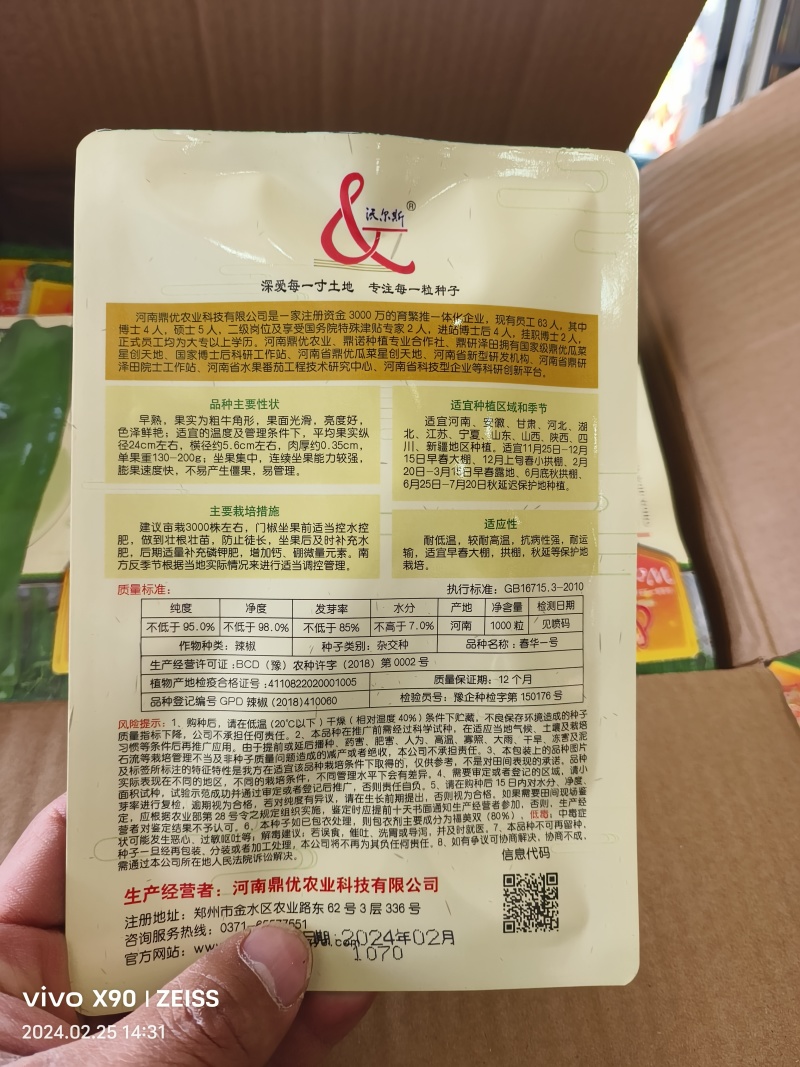春华一号泡椒品种大果型早熟长24cm重200克不骗人放心
