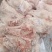 无耳头，日期新鲜，厂家直销，一手货源，价格美丽，售后无忧